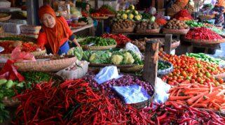 Harga Cabai